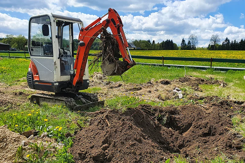 தோட்டம் தோட்டம்